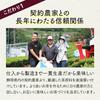 Chatsumi no Sato Bulk Hojicha Tea Bags Large Capacity 2.5g100 pieces Shizuoka Prefecture Produced Roasted Pack Gift