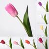 14" Umělé Tulipány Realistické na Dotek Dlouhá Stonek Umělý Tulipán pro Jaro Velikonoce Domov Kuchyně Svatba Kytice Dárky ke Dni Matek