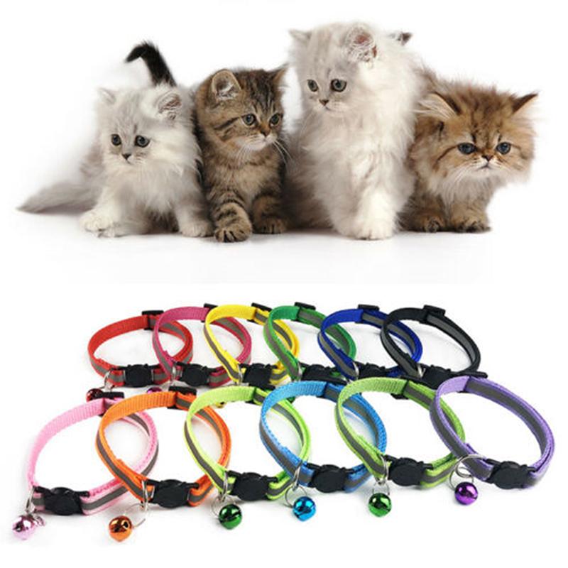 cute kitty collars