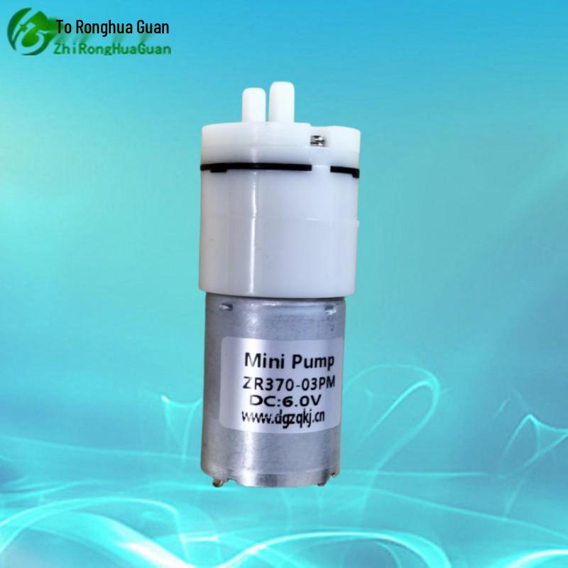 ZR370-03PM Automatic Micro Vacuum & Air Suction Beauty Pump