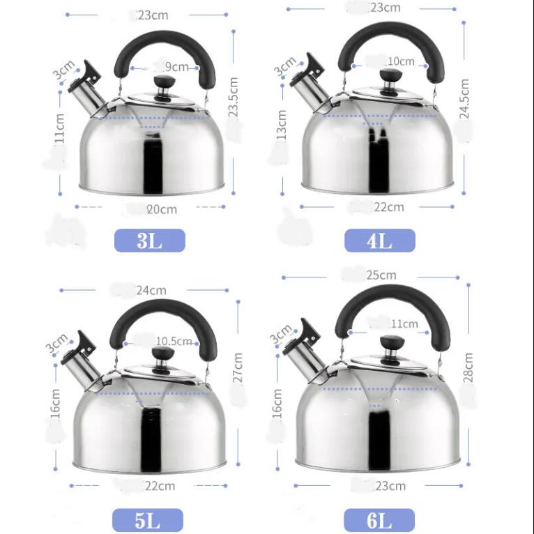 Bollitore in acciaio inossidabile Fischio domestico a gas Bollitore per acqua bollente 3/4/5/6L