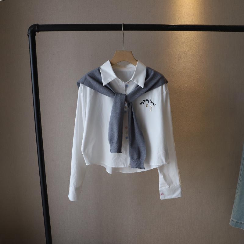 

[Би Чжэн] Весна 2025 года Рубашка на пуговицах с вышивкой в корейском стиле и шаль для женщин One Size