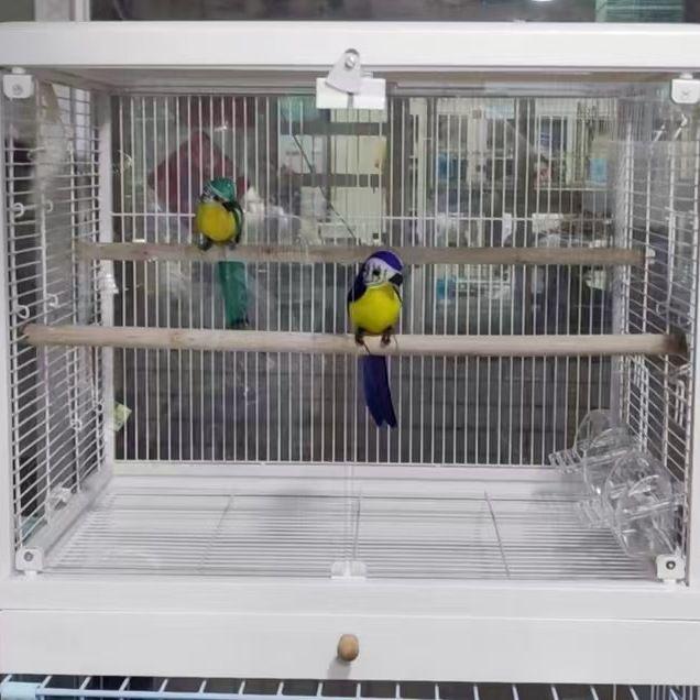 Dayang B6001/B4001 Tempered Glass Birdcage with Double Openings for Parakeets