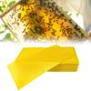 30/Set Beeswax Sheets Bee Candle Making 41.5x19.5cm Beekeeping Tool