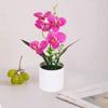 5 Heads Artificial Butterfly Orchid Potted Bonsai Home Garden Balcony Desktop Bedroom Living Room Decoration Fake Plants Bonsai