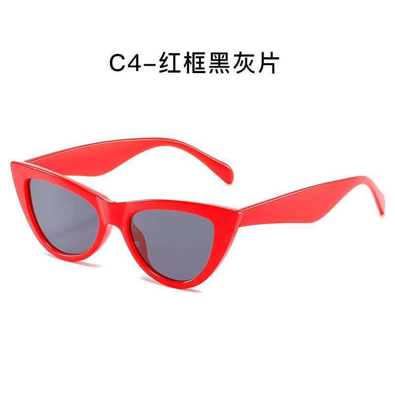 Cat Eye Sunglasses Women Travel Photo Sunglasses Trendy Glasses Sunglasses