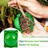 5PCS Green Plastic Rooting Grafting Box Nursery Ball Reusable High Pressure Propagation Ball Home Seeding Gardening Supplies ZYF