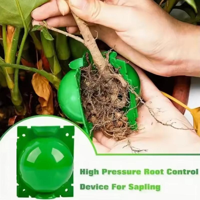 5PCS Green Plastic Rooting Grafting Box Nursery Ball Reusable High Pressure Propagation Ball Home Seeding Gardening Supplies ZYF