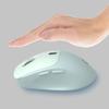 Professional Wireless Mouse Rechargeable Compact Receiver