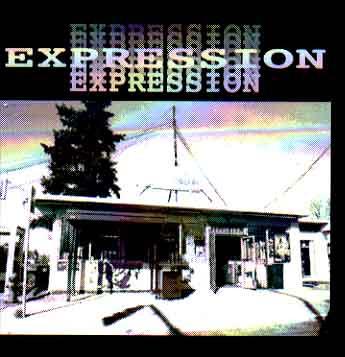 

CD VARIOUS Expression Vol.1 12CD129 1 2 2000 Japan Rock Used