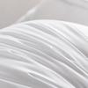 Throw Pillow Cushion Insert