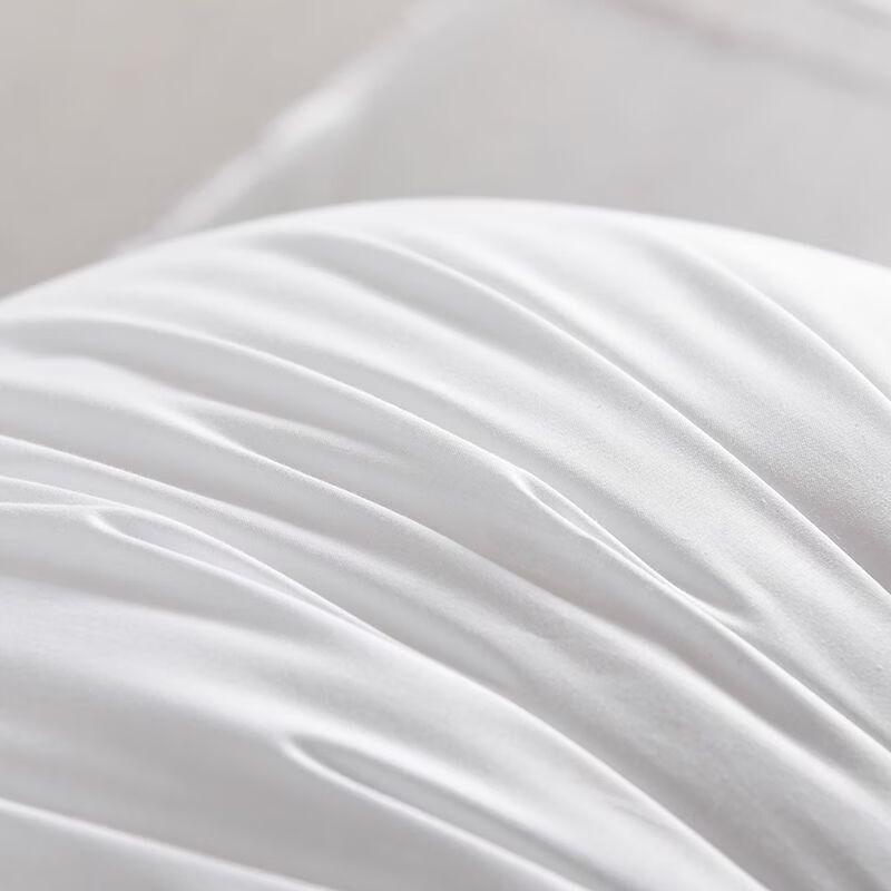 Throw Pillow Cushion Insert