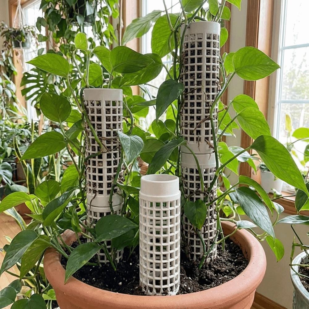 6PCS Interlocking Moss Pole Plastic Vine Fixed Support Frame Plants Growth Stand  Indoor Plants