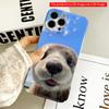 2DFlat Adorable Otter Face Against Blue Sky Phone Case All Inclusive Film Hard Phone Case, Compatible with iPhone 18 Pro Max 17 16 15 14 13 12 11