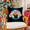 Classic Animation Ppopeye Pillow Case Silky elegant Comfort Sofa Bed Invisible zipper