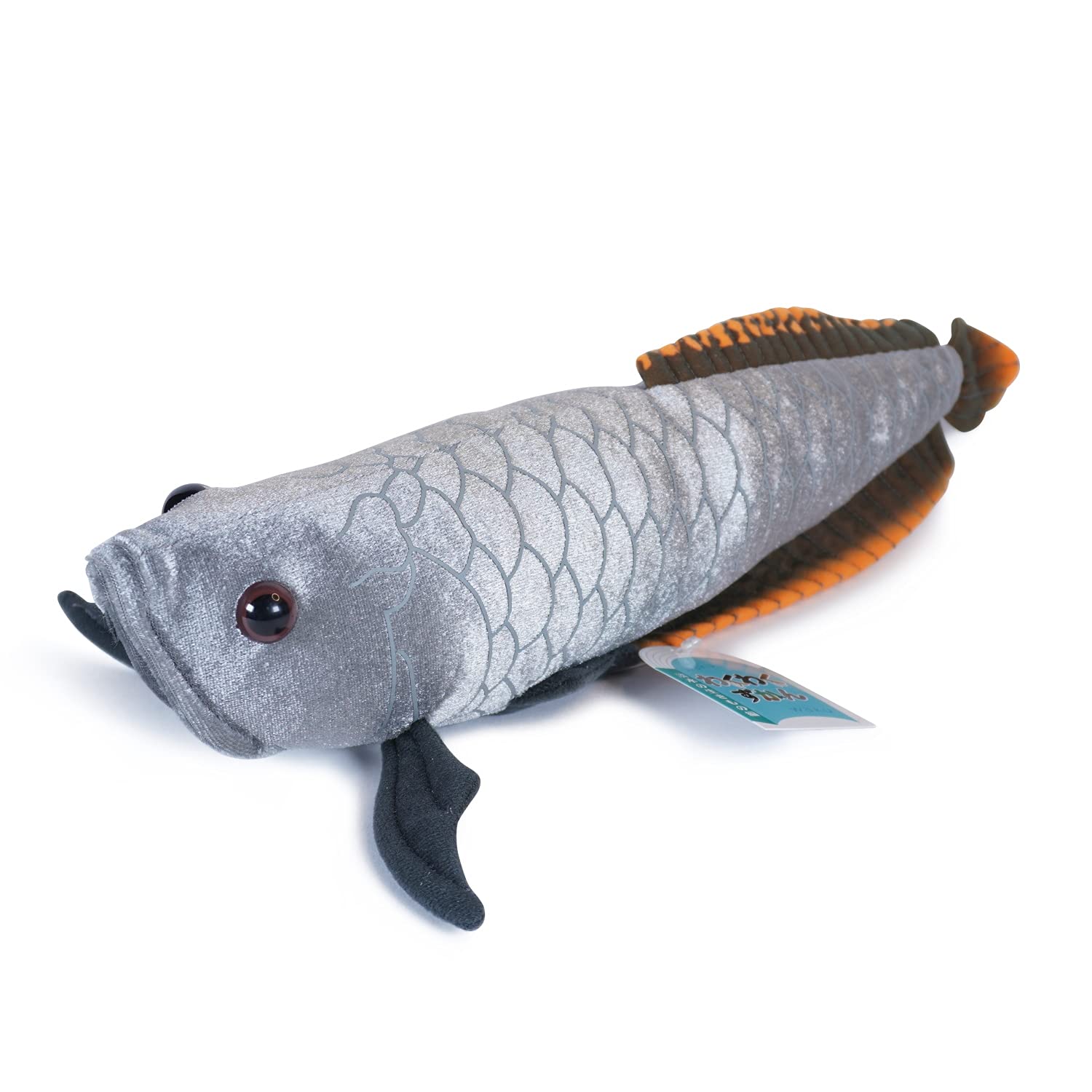 

TST Advance Захватывающая Книга с Картинками Черная Арована 25см Пресноводная