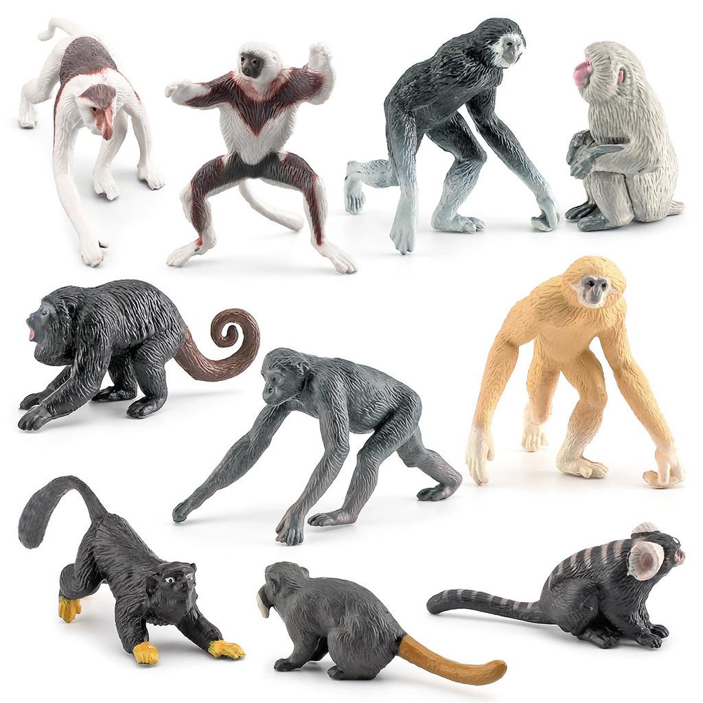 Mini Pvc Animal Chimpanzee Lemur Model Pack Primate Figures For Classroom And Home Display