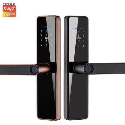 Chytrý Bluetooth zámek na dveře s otiskem prstu s WiFi a heslem pro byty a ubytování v soukromí