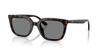 Sunglasses 0RB4439D HAVANA DARK GREY 54mm Asian Fit Ray-Ban (dark Grey)