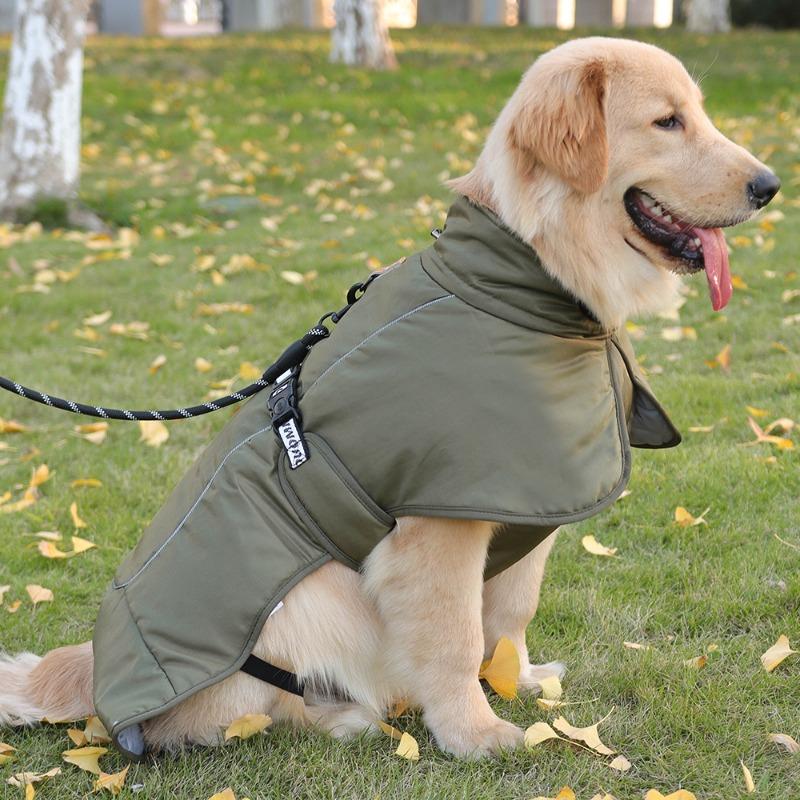 New Autumn and Winter Dog Clothes Thickened and Warm Large Dog Jackets Reflective Large Dog Cotton Clothes Pet Cotton Clothes