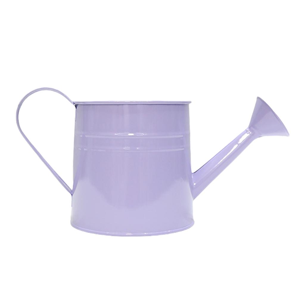 Gießkanne aus Eisen im Vintage-Stil, charmanter, rustikaler Metallbehälter, perfekt als Blumentopf oder Bürodekoration.