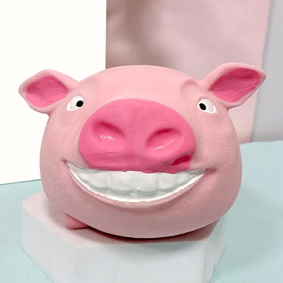 Stress Relief Pig Squeeze Toy Kids Adults Cartoon Pig Sensory Toy Portable