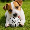 Durable Pet Chew Ball Interactive Training Toy for Dogs Spot Pattern Round Shape Non-Toxic Material Safe for Puppy Teeth Cleaning