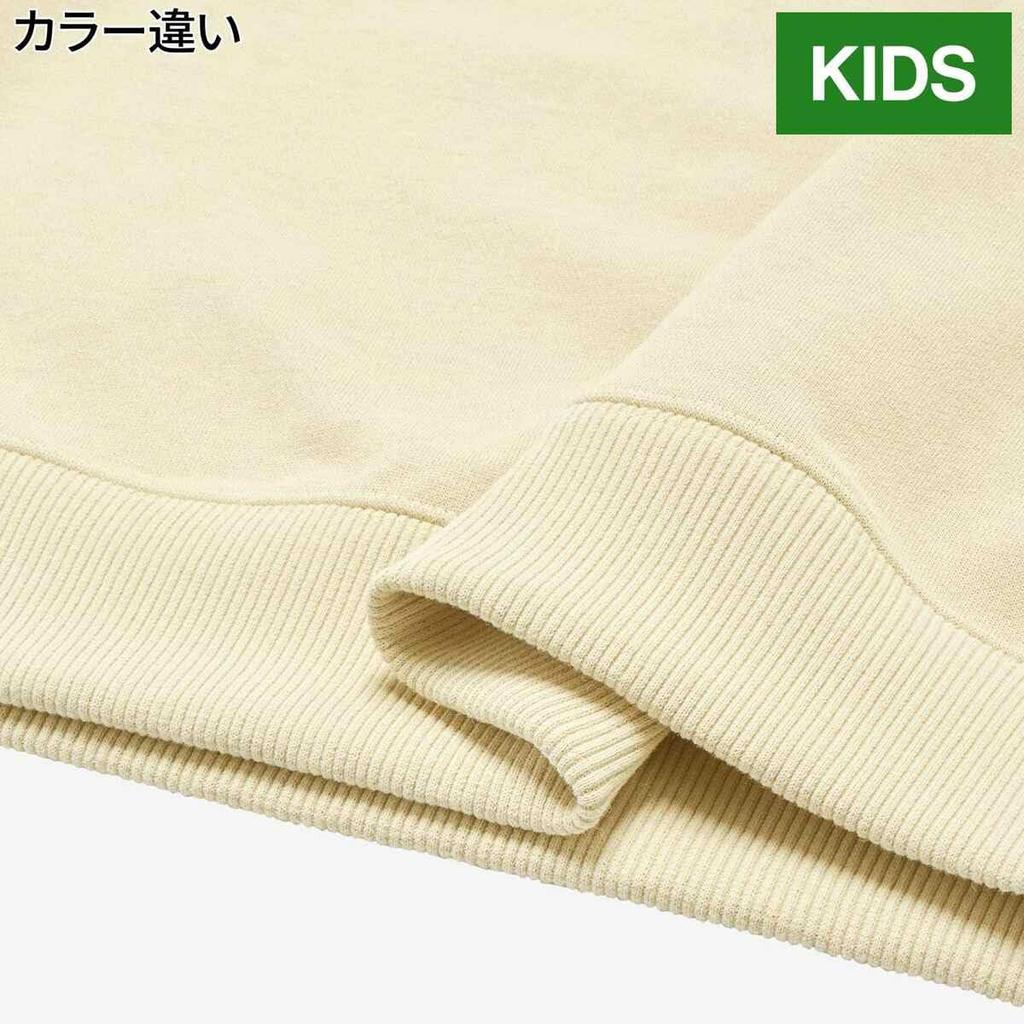 The North Face Colorise Sweat Misty 150 Crew, Sage,