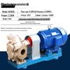 YunDuo 304 Stainless Steel Gear Oil Pump with Three-phase Motor