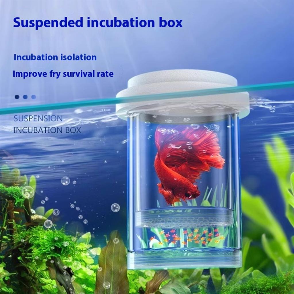 Floating Fish Breeding Box Plastic Mesh Design Safe Aquatic Habitat Isolation Tanks For Fry Shrimp Easy Setups Compacts