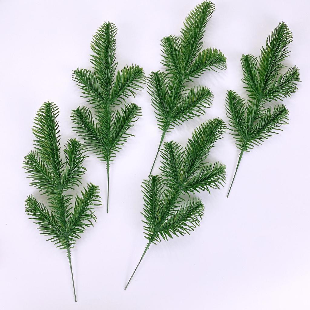 Natural Dried Pine Cones for Christmas Tree Decoration, Photography Props, Floral Wreaths, and Bouquets.