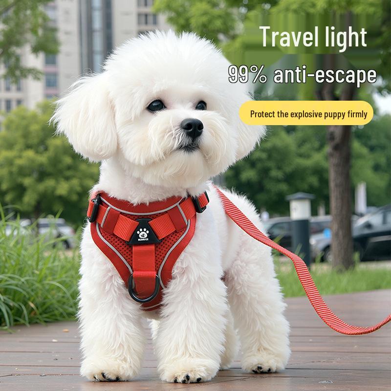 Adjustable Anti-Escape Cat & Small Dog Leash and Harness: Breathable, No-Choke, All-Season Use
