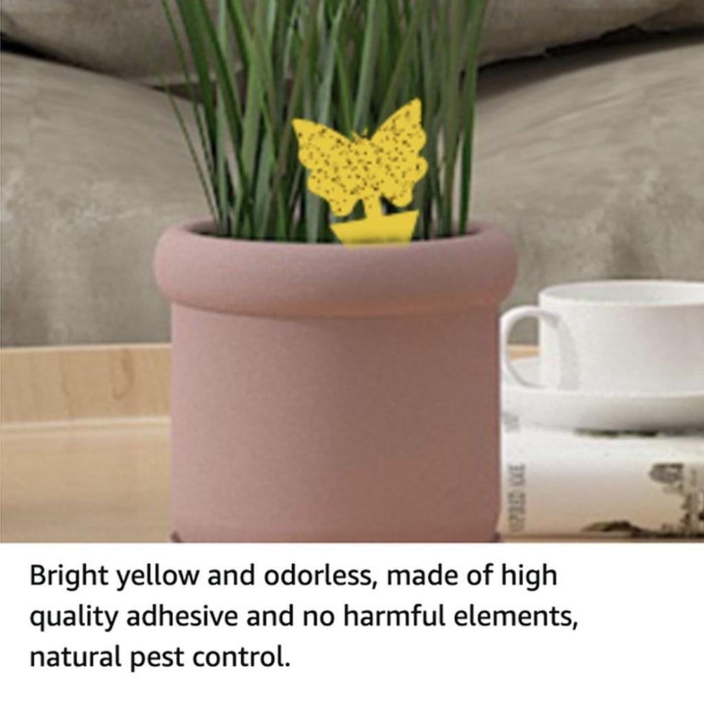 Satın alın DH Fly Trap Insects Sticky Board Home Garden Double Sided