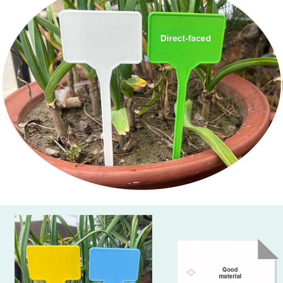 10 Stück Blumentopf Kunststoff Sukkulente Gartenmarkierer Pflanzenetikett Anhängeetikett