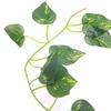 2m Artificial Leaf Vine Scindapsus Aureus Plant Garland for Reptiles Terrarium