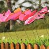 12Pcs/set Colorful Butterflies Garden Stake Yard Planter Butterfly Stakes Decoracion Outdoor Decor Flower Pots Decoration