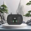 Automatic Auto Controller Spray Kit System W/ Timer Terrariums Humidifier for Terrariums Amphibian Lizard Snake Frog Plants