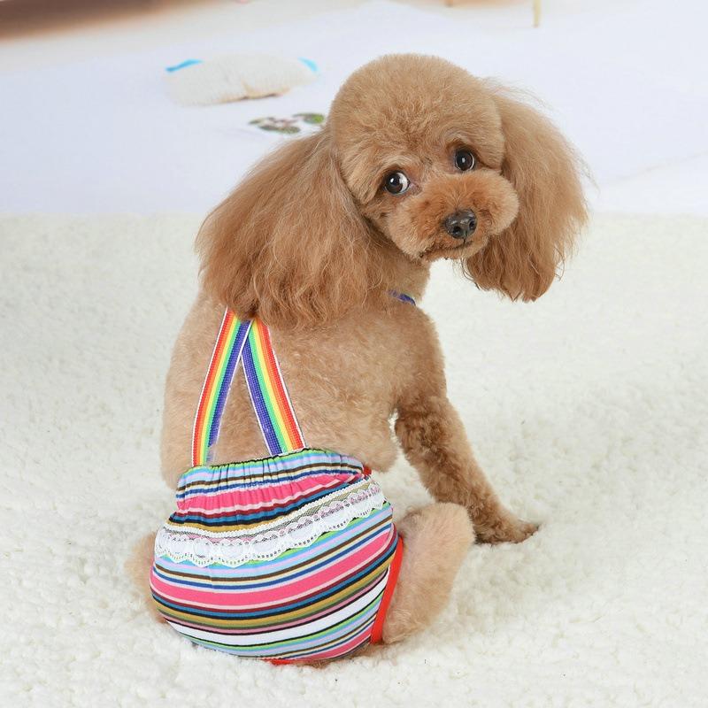 Female Dog Sanitary Panties Breathable Strap Type Reusable Washable Pet Diaper Shorts Summer Thin Heat Period for Teddy Dogs