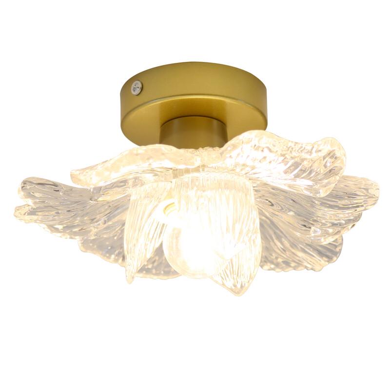 Dream Bubble Solid Wood Gardenia LED Ceiling Light