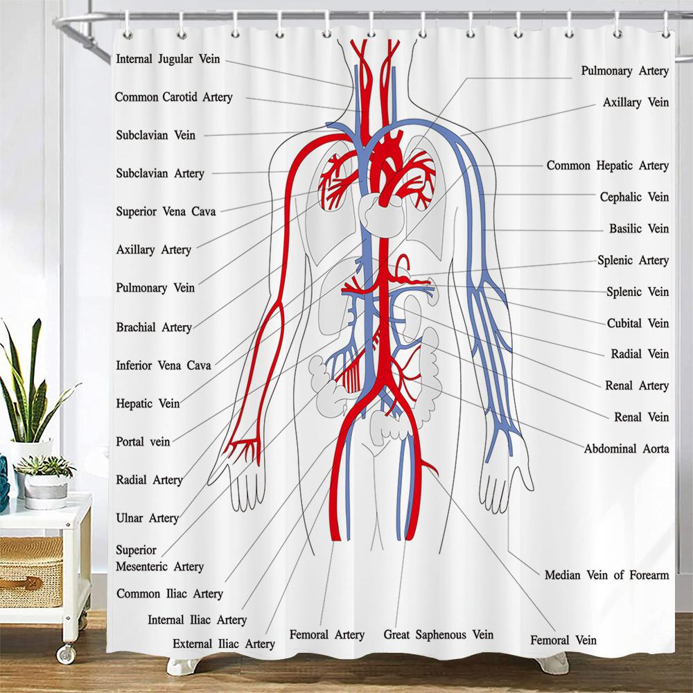 Medizin Menschlicher Körper Struktur Diagramm Muster Bad Duschvorhang Wasserdicht Dekoration Duschvorhänge Mit Haken Badezimmer Sichtschutz