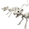 Halloween Animal Skeleton Bones Horror Simulation Skeleton Halloween Party Decoration