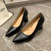 Spring Autumn Large Size High Heels Pointed Toe Thick Heel Fashion Work Shoes Elegant Personality Single Low Heel Shoes