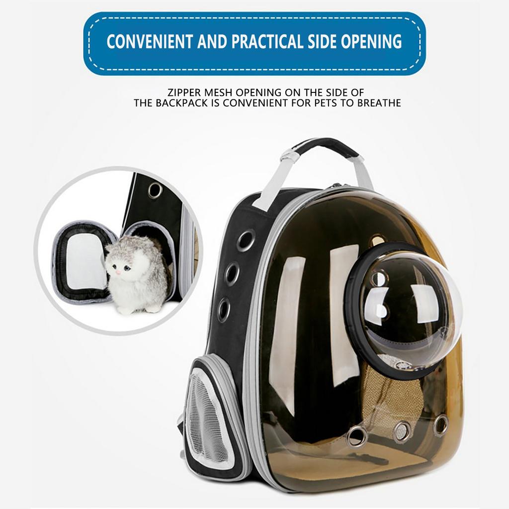 cat clear backpack