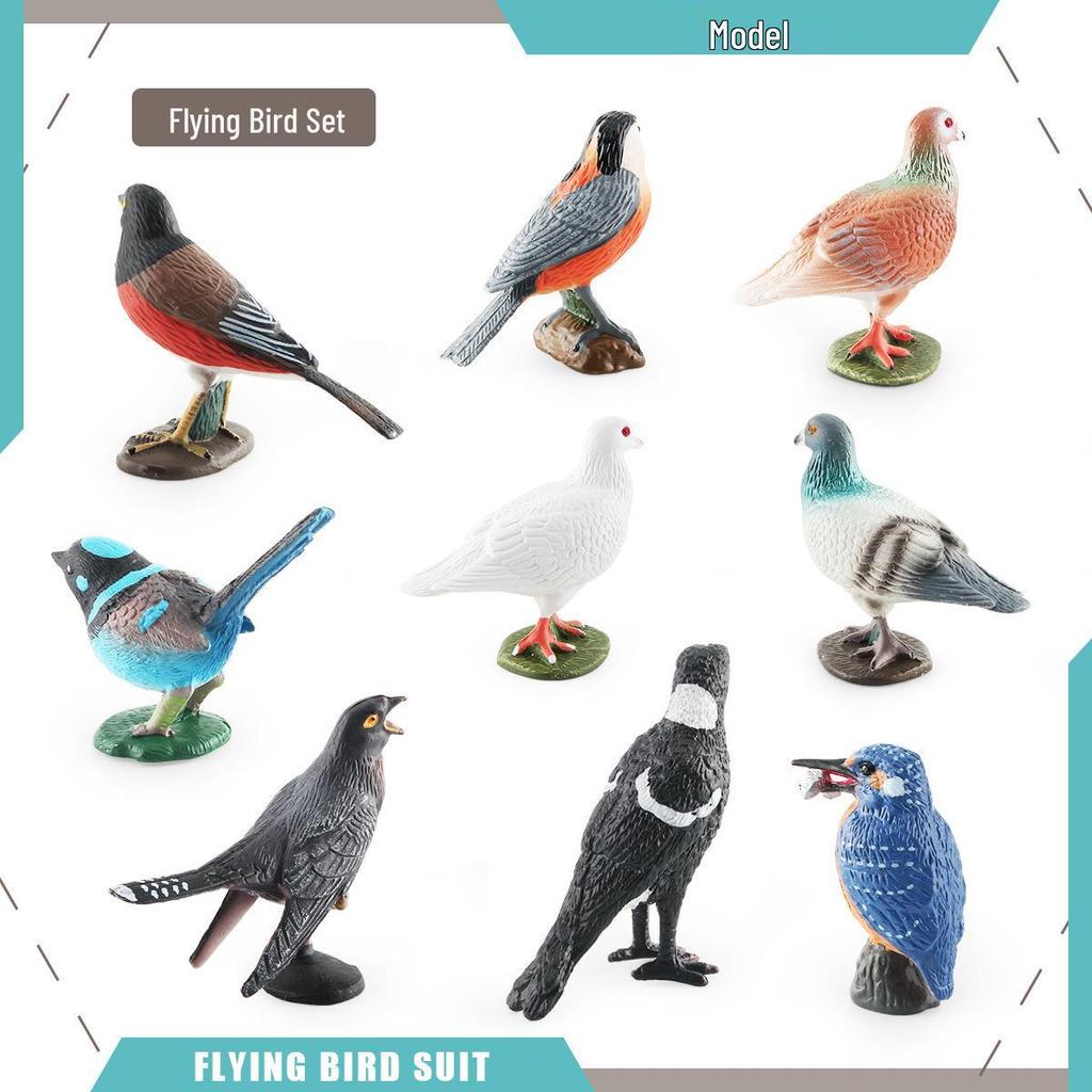 Cross-border Bird Model Ornament: Kingfisher, Magpie, Pigeon, Cuckoo, Barbet, Tit