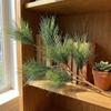 Woondecoratie – Decoratieve bloemen en kransen