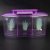 Three Areas Small Aquarium, Transparent Fish Tank, Desktop with Water Change Valve with LED Light for Betta Small Fishes(Purple)