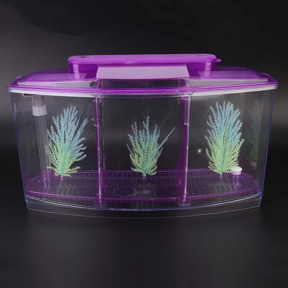 Three Areas Small Aquarium, Transparent Fish Tank, Desktop with Water Change Valve with LED Light for Betta Small Fishes(Purple)