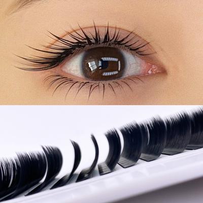 Curl Camellia Falsche Wimpern Faux Mink Soft Easy Fan Individuelle Wimpern Leichtes klassisches russisches Volumen Vorgefertigte Fächerwimpern