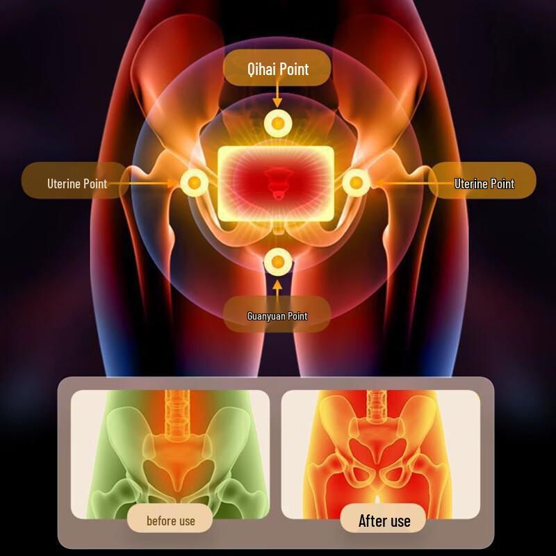 Ginger Herbal Body Warmer Patches