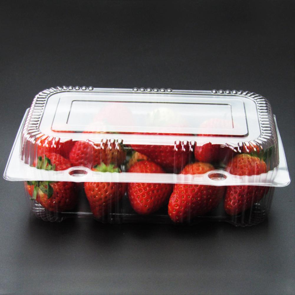 25 PCS Disposable Plastic Hinged Loaf Container Food Fruit Storage Box 18.5 X 12.5 X 7cm